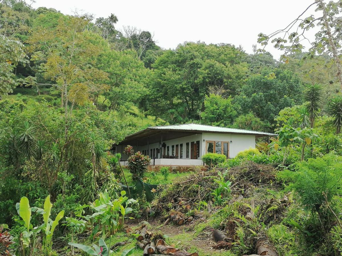 La Ceiba Tree Lodge Tilarán Exterior foto